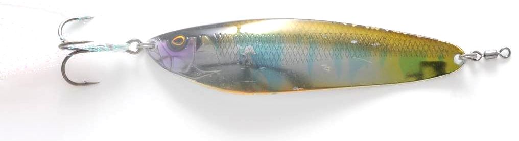 THE WILD CARD琵琶湖戦、全選手のメインルアーと当日の釣りを紹介